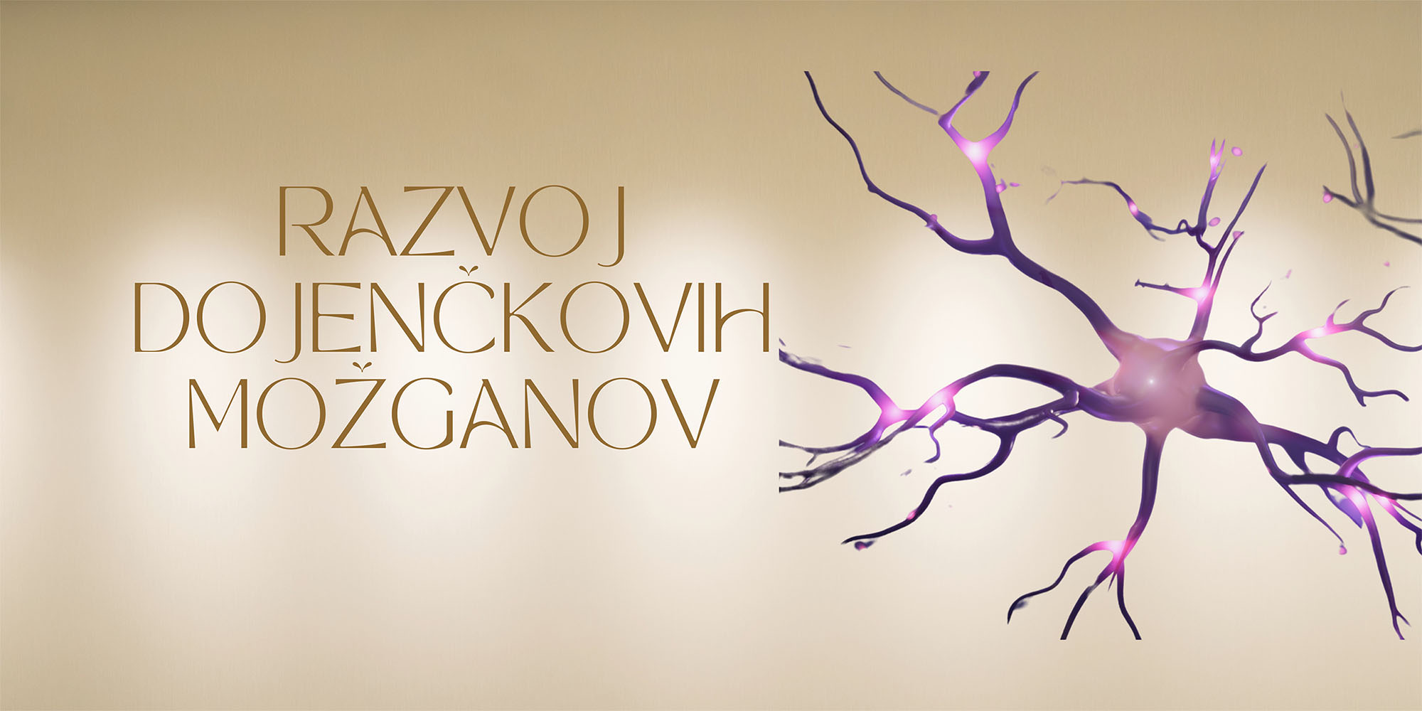 Razvoj dojenčkovih možganov